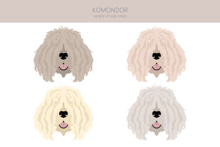Komondor clipart. Different poses, coat colors set. vector illustrationのイラスト素材