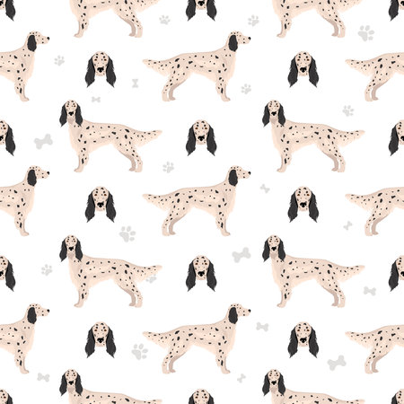 English setter seamless pattern. vector illustrationのイラスト素材