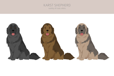 Karst shepherd dog clipart. Different coat colors set. vector illustrationのイラスト素材