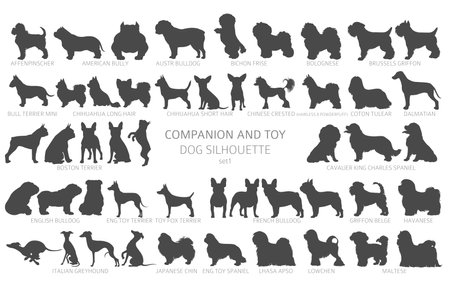 Dog breeds silhouettes, simple style clipart. Companion and toy dogs collection. Vector illustrationのイラスト素材