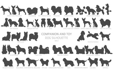 Dog breeds silhouettes, simple style clipart. Companion and toy dogs collection. Vector illustrationのイラスト素材