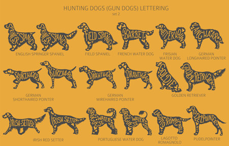Dog breeds silhouettes with lettering, simple style clipart. Hunting dogs and Gun dog collection. Vector illustrationのイラスト素材
