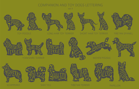 Dog breeds silhouettes with lettering, simple style clipart. Companion dogs and toy dogs collection. Vector illustrationのイラスト素材