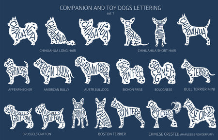 Dog breeds silhouettes with lettering, simple style clipart. Companion dogs and toy dogs collection. Vector illustrationのイラスト素材