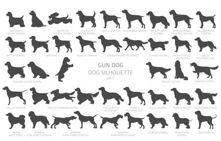 Dog breeds silhouettes, simple style clipart. Hunting dogs, Gun dogs collection. Vector illustrationのイラスト素材