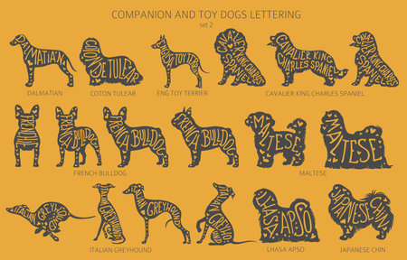 Dog breeds silhouettes with lettering, simple style clipart. Companion dogs and toy dogs collection. Vector illustrationのイラスト素材