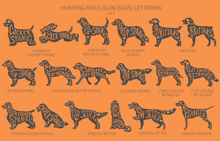 Dog breeds silhouettes with lettering, simple style clipart. Hunting dogs and Gun dog collection. Vector illustrationのイラスト素材