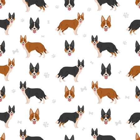 Welsh Sheepdog seamless pattern. All coat colors set. All dog breeds characteristics infographic. Vector illustrationのイラスト素材