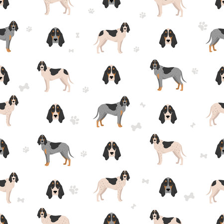 Virelade Hound seamless pattern. All coat colors set. All dog breeds characteristics infographic. Vector illustrationのイラスト素材