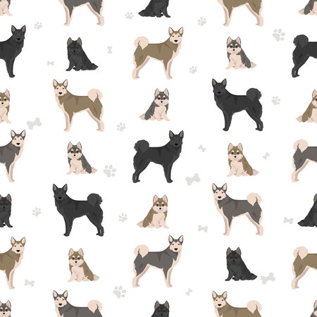 West Siberian Laika seamless pattern. All coat colors set. All dog breeds characteristics infographic. Vector illustrationのイラスト素材