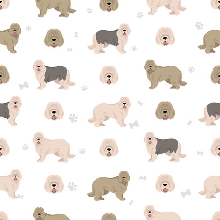 South Russian Sheepdog seamless pattern. All coat colors set. All dog breeds characteristics infographic. Vector illustrationのイラスト素材