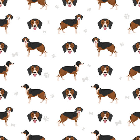 Serbian Tricolor Hound seamless pattern. All coat colors set. All dog breeds characteristics infographic. Vector illustrationのイラスト素材