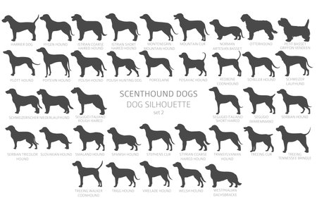 Dog breeds silhouettes with lettering, simple style clipart. Hunting dogs Scentounds, hounds collection. Vector illustrationのイラスト素材