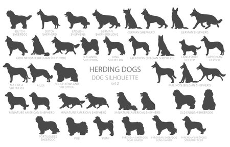 Dog breeds silhouettes simple style clipart. Herding dogs, sheepdog, shepherds collection. Vector illustrationのイラスト素材
