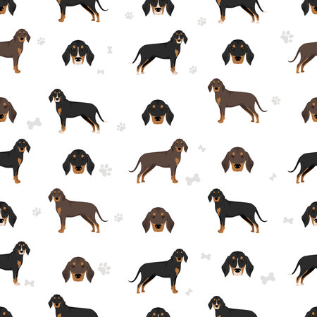 Montenegrin Mountain hound seamless pattern. All coat colors set. All dog breeds characteristics infographic. Vector illustrationのイラスト素材