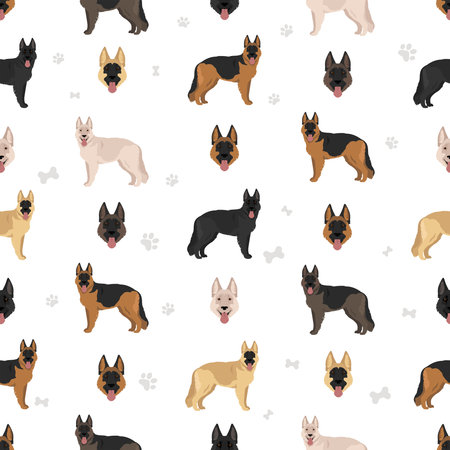 King Shepherd. Variety of German shepherd dog seamless pattern. Different coat colors set. Vector illustrationのイラスト素材