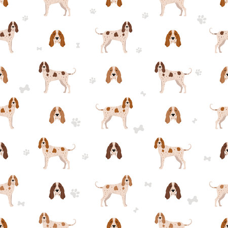 Italian pointer seamless pattern. Different poses, coat colors set. Vector illustrationのイラスト素材