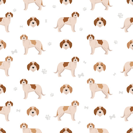 Istrian Coarse-haired hound seamless pattern. Different poses, coat colors set. Vector illustrationのイラスト素材
