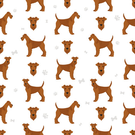 Irish terrier seamless pattern. Different poses, coat colors set. Vector illustrationのイラスト素材