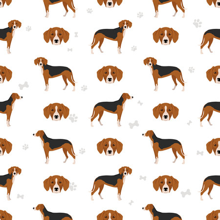 Finnish Hound seamless pattern. Different coat colors set. Vector illustrationのイラスト素材