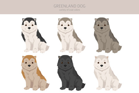 Greenland dog puppy clipart. Different poses, coat colors set. Vector illustrationのイラスト素材