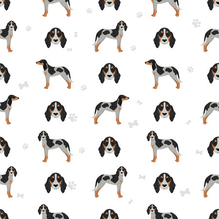 Grand Bleu de Gascogne seamless pattern. Different coat colors set. Vector illustrationのイラスト素材
