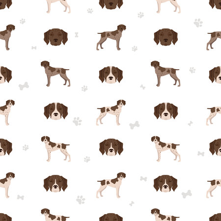 French pointing dog, Gascogne type seamless pattern. Different poses, coat colors set. Vector illustrationのイラスト素材