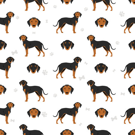 Greek Harehound seamless pattern. Different coat colors set. Vector illustrationのイラスト素材
