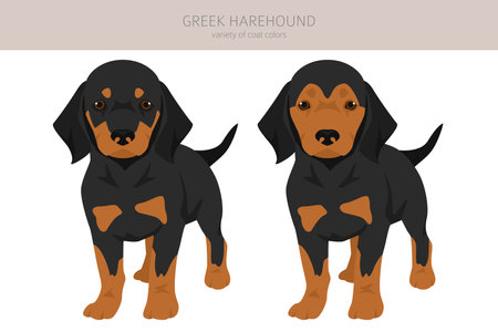 Greek Harehound puppy clipart. Different coat colors set. Vector illustrationのイラスト素材