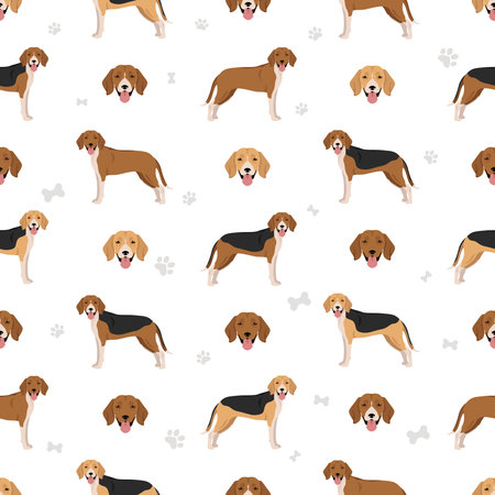 Estonian Hound seamless pattern. Different coat colors set. Vector illustrationのイラスト素材