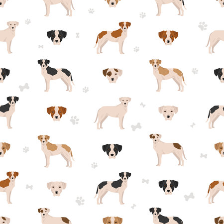Bull Arab seamless pattern. Different coat colors and poses set. Vector illustrationのイラスト素材