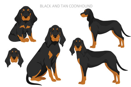 Black and tan coonhound clipart. Different coat colors and poses set. Vector illustrationのイラスト素材