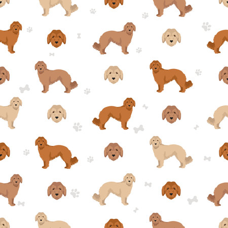 Basque Shepherd dog all colors seamless pattern. Different coat colors and poses set. Vector illustrationのイラスト素材