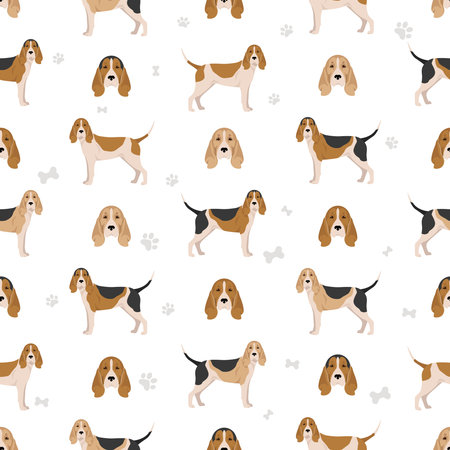 Artois hound seamless pattern. Different poses, coat colors set. vector illustrationのイラスト素材