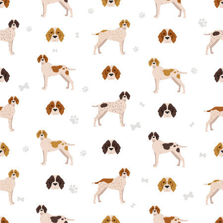Ariage pointer seamless pattern. Different poses, coat colors set. vector illustrationのイラスト素材
