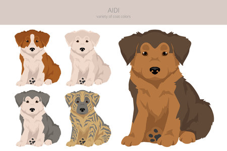 Aidi puppy clipart. Different poses, coat colors set. Vector illustrationのイラスト素材
