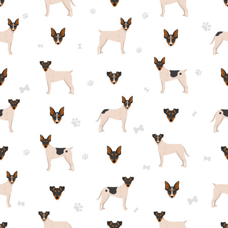 Andalusian Wine-cellar rat hunting dog seamless pattern. Different poses, coat colors set. Vector illustrationのイラスト素材