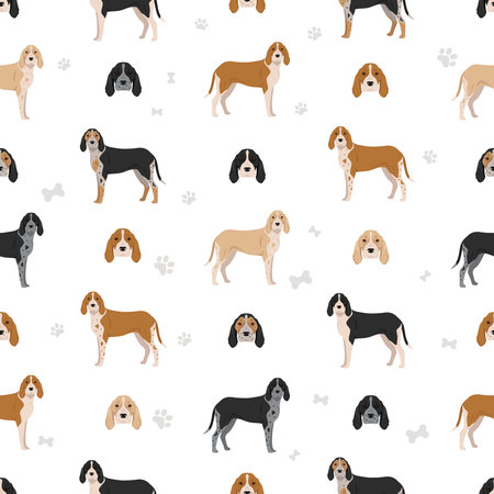 American English coonhound all colors seamless pattern. Different coat colors set. Vector illustrationのイラスト素材