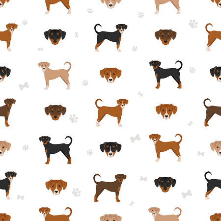 Austrian pinscher seamless pattern. Different poses, coat colors set. vector illustrationのイラスト素材