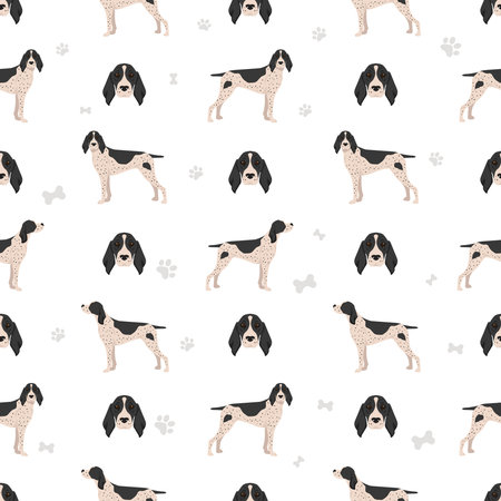 Auvergne Pointer seamless pattern. Different poses, coat colors set. vector illustrationのイラスト素材