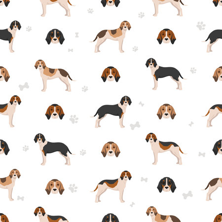 Medium sized Anglo-French hound seamless pattern. Different poses, coat colors set. Vector illustrationのイラスト素材