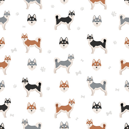 Alaskan klee kai all colors seamless pattern. Different coat colors set. Vector illustrationのイラスト素材