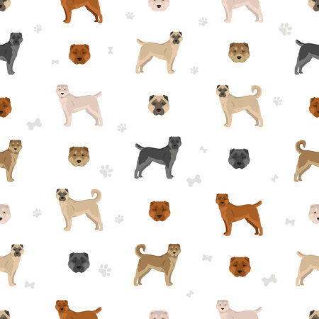 Armenian Gampe dog seamless pattern. Different poses, coat colors set. vector illustrationのイラスト素材