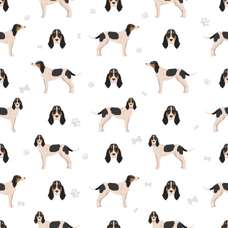 Ariege hound seamless pattern. Different poses, coat colors set. vector illustrationのイラスト素材