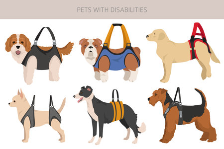 Disabled dog clipart. Prosthesis dogs, wheelchairs, sling bags and blind dogs. Vector illustrationのイラスト素材
