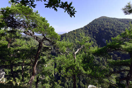Mountain Akhun with Eagle rocksの写真素材