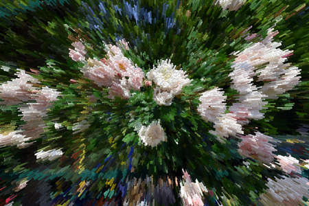 Abstraction, beautiful of stylized rose flower