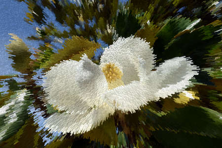 Abstraction, beautiful of stylized magnolia flowerの写真素材
