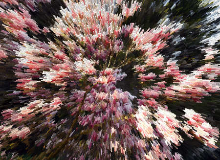 Abstraction, beautiful of stylized magnolia flowerの写真素材