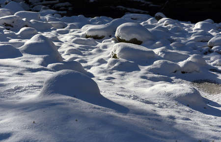 Contrasting shadow on the white snowの写真素材